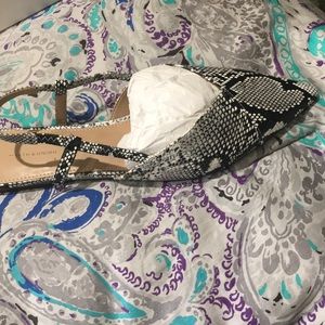 Black and white snake pu- 14th & union